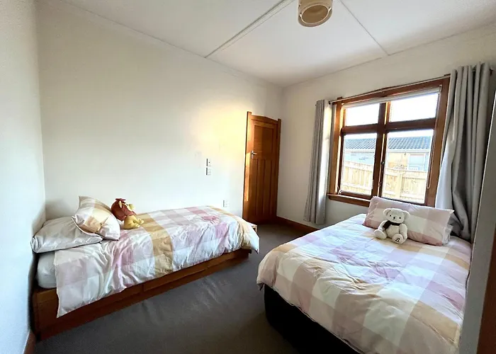 Dog-Friendly In Waterloo